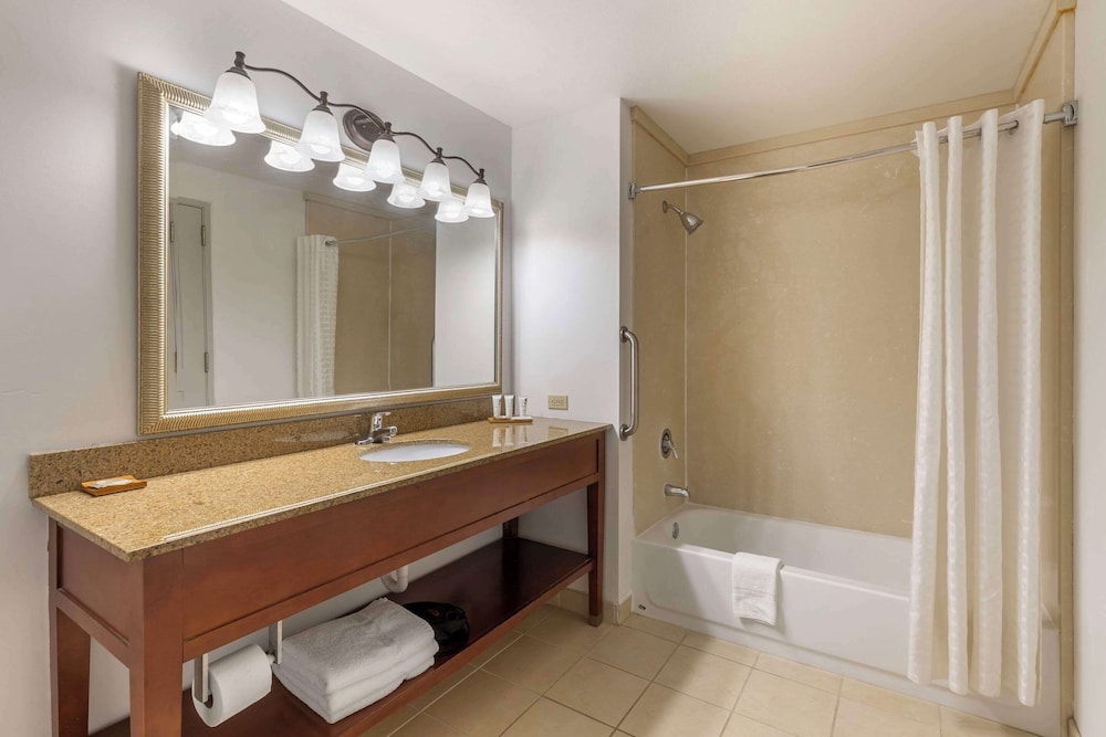 Suite, 1 Bedroom, Non Smoking - Photo 4
