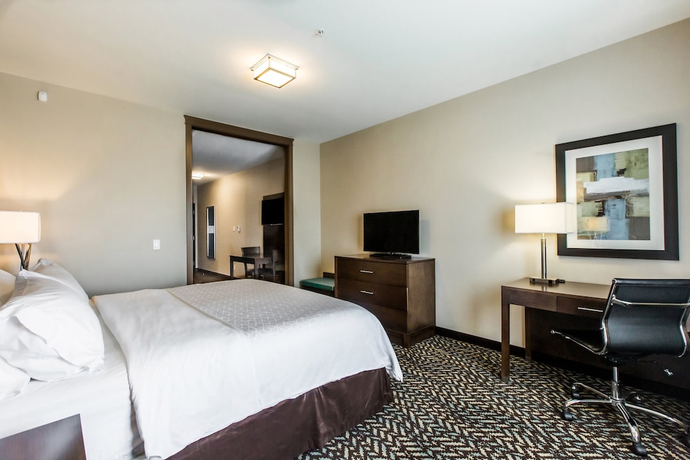 Suite, 1 King Bed with Sofa bed