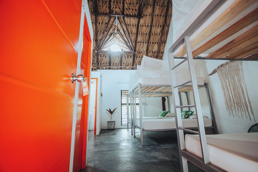 Shared Dormitory photo 2
