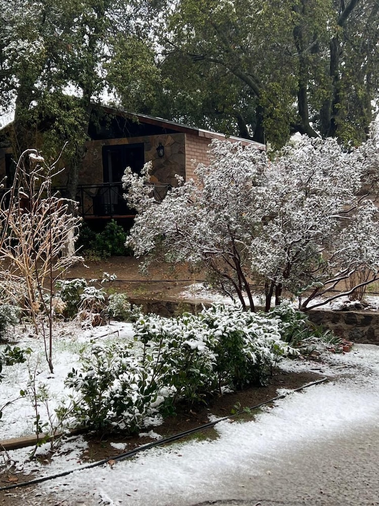 Senior Cabin, Courtyard View photo 2