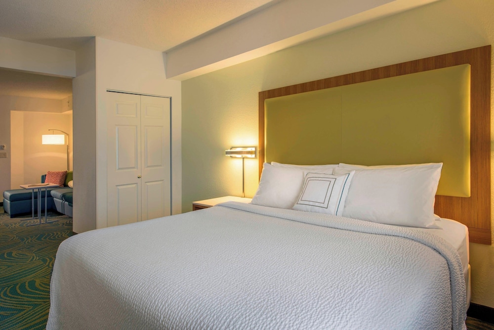Studio, 1 King Bed with Sofa bed, Bathtub (Mobility/Hearing Accessible, Tub)