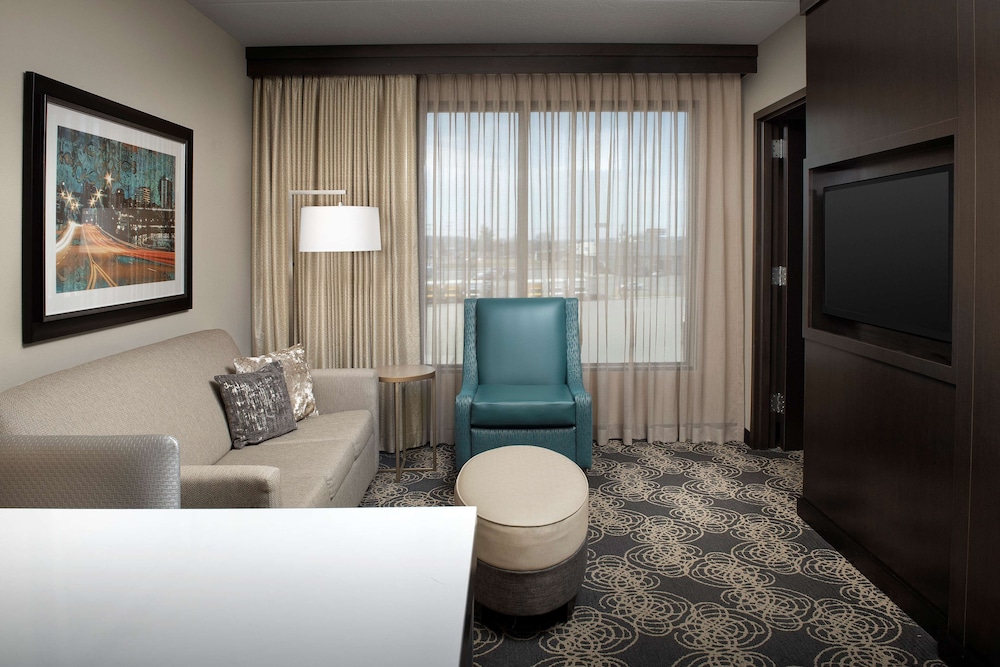 Suite, One King Bed photo 3