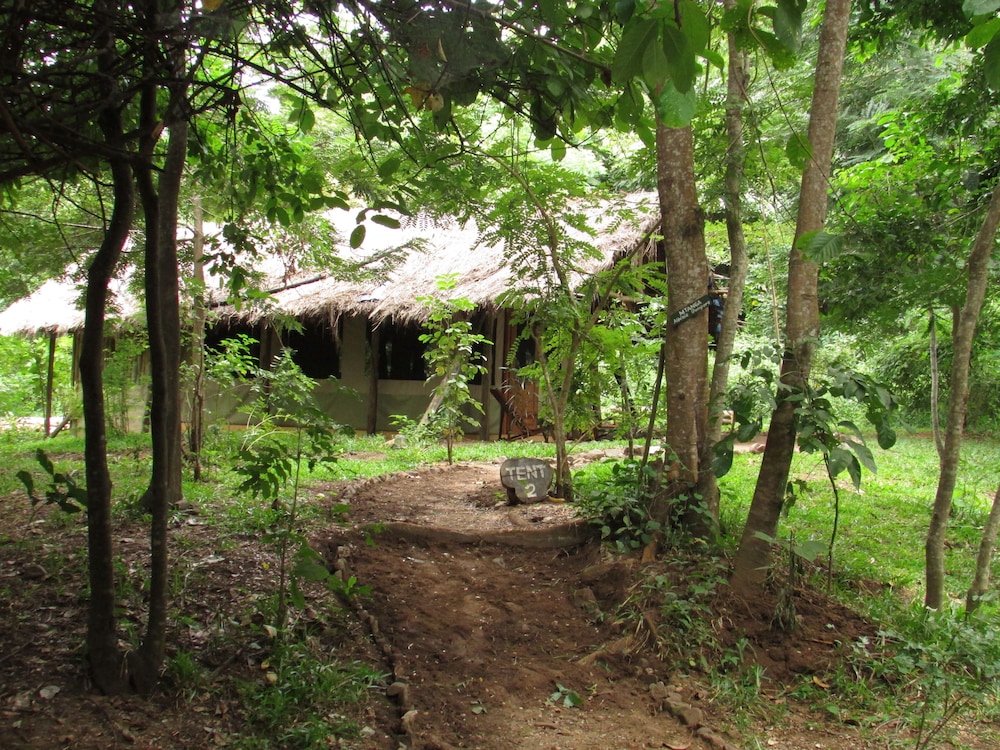 Comfort Tent, 1 Bedroom (En-Suite Tented Rooms) photo 2