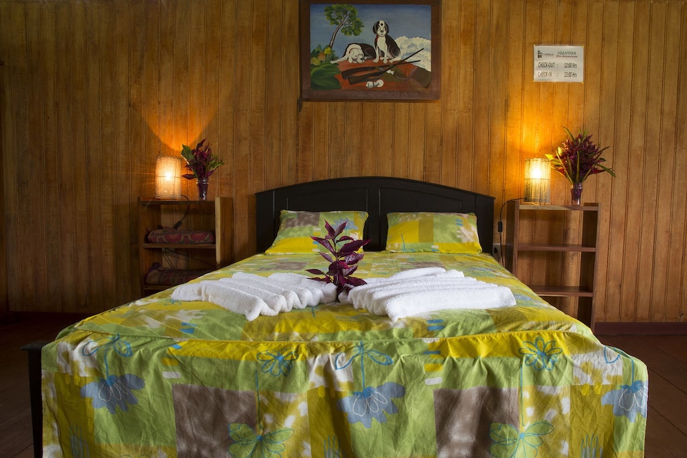 Single Room photo 1