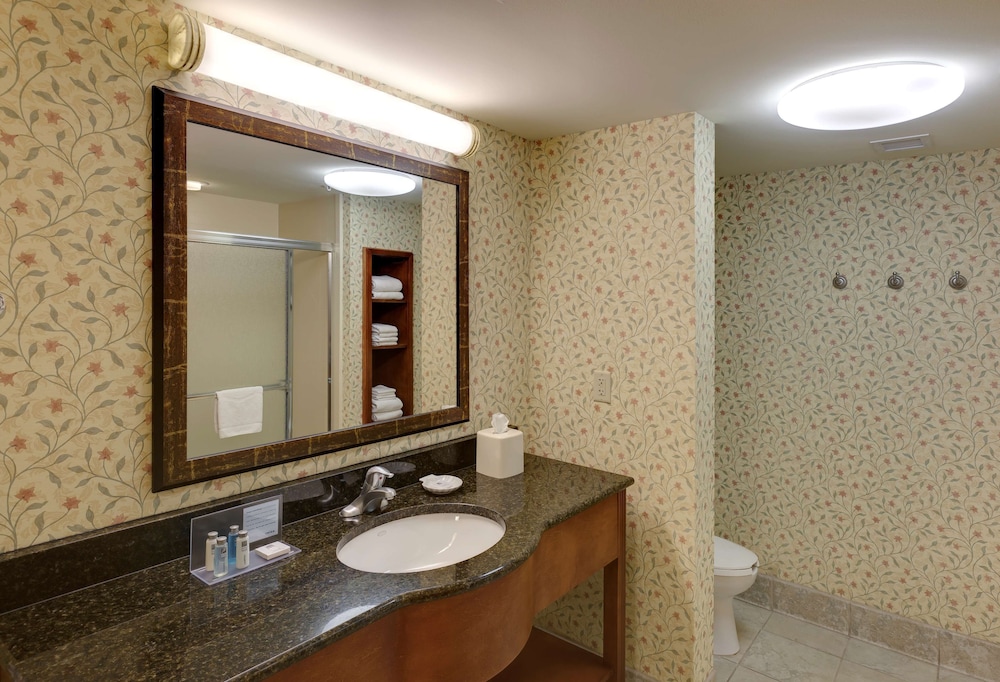 Standard Room, 1 King, Hearing Accessible - Photo 6