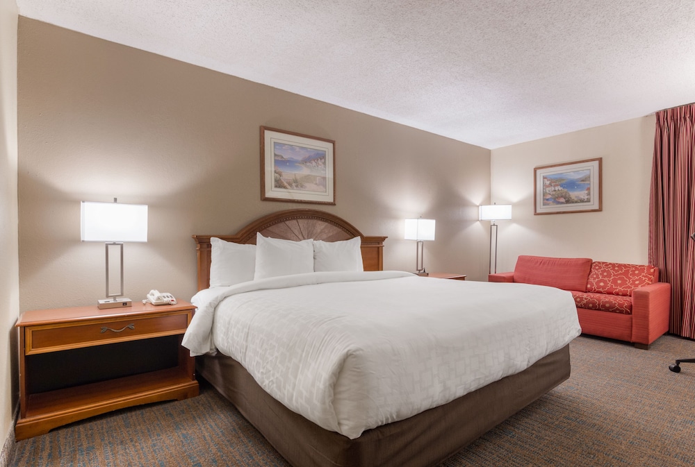 Standard Single Room photo 1