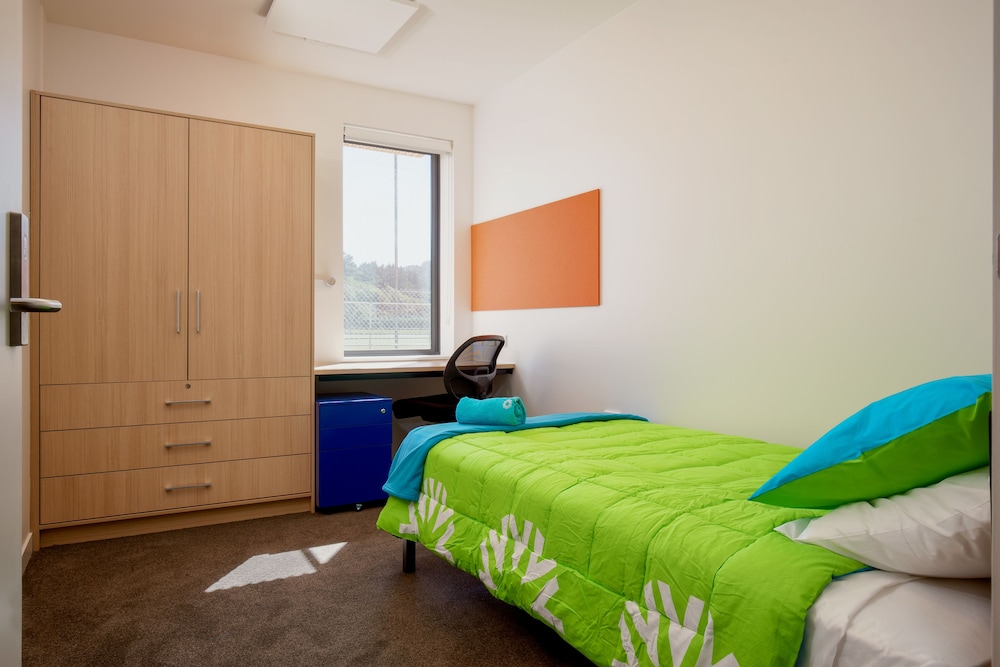 Single Room in Apartment photo 1