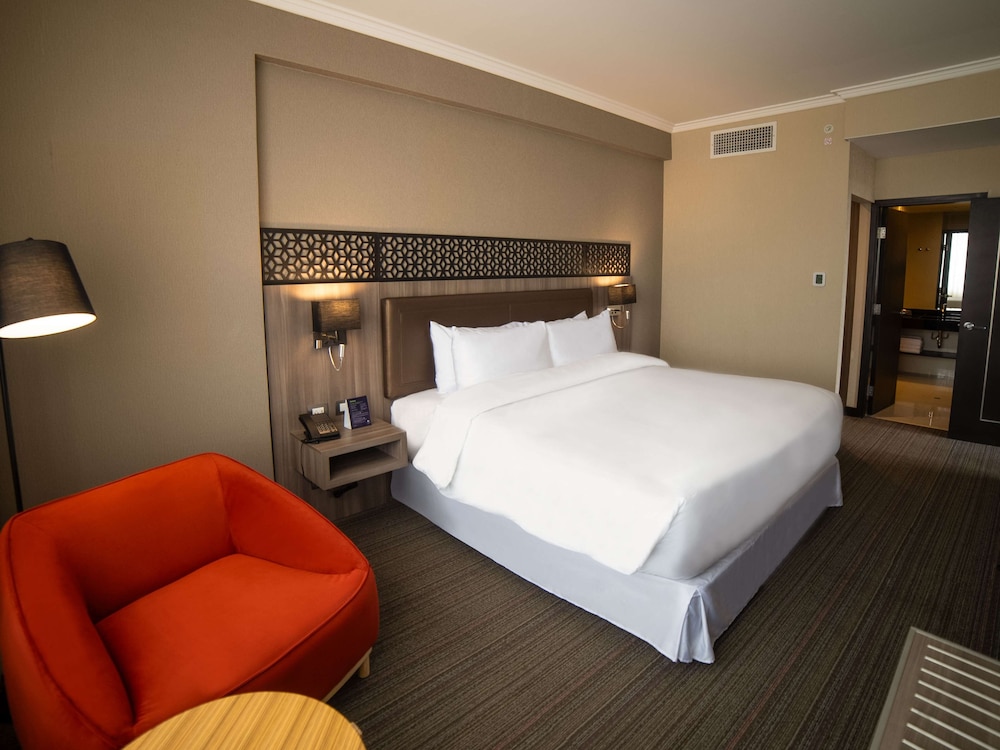 Senior Suite, 1 King Bed (Senior) photo 3