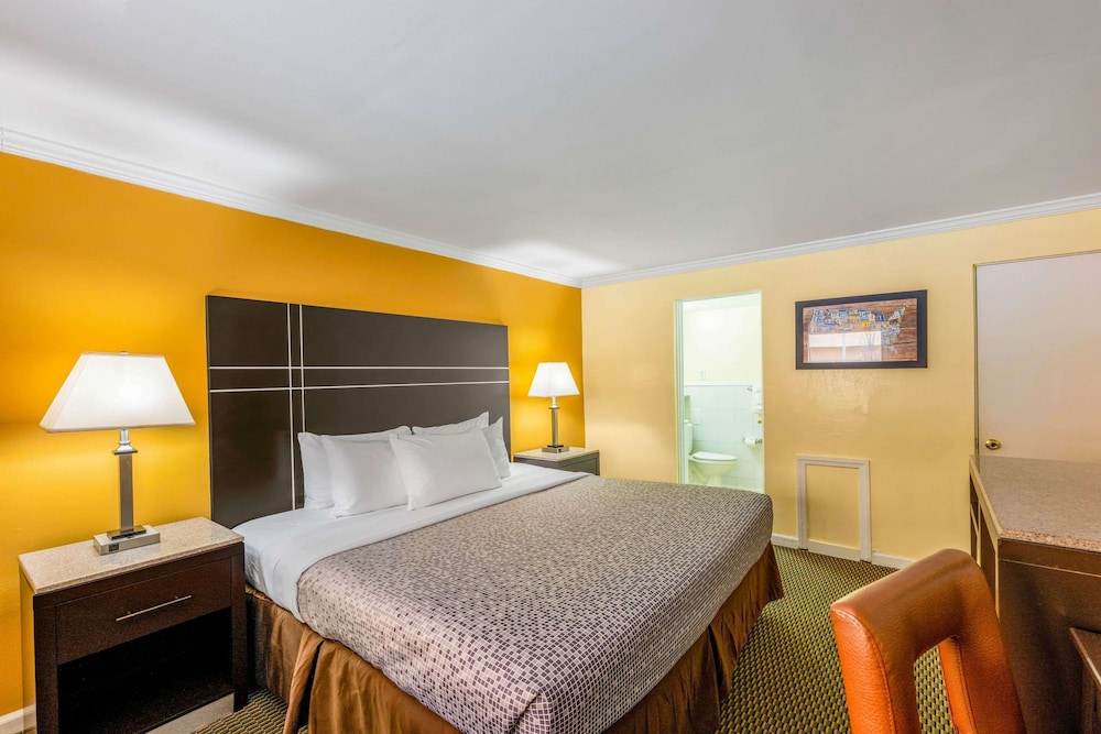Standard Room, 1 King Bed, Non Smoking photo 1