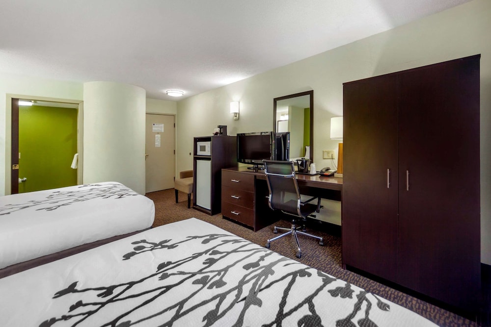 Standard Room, 2 Queen Beds, Non Smoking, Refrigerator & Microwave - Photo 6