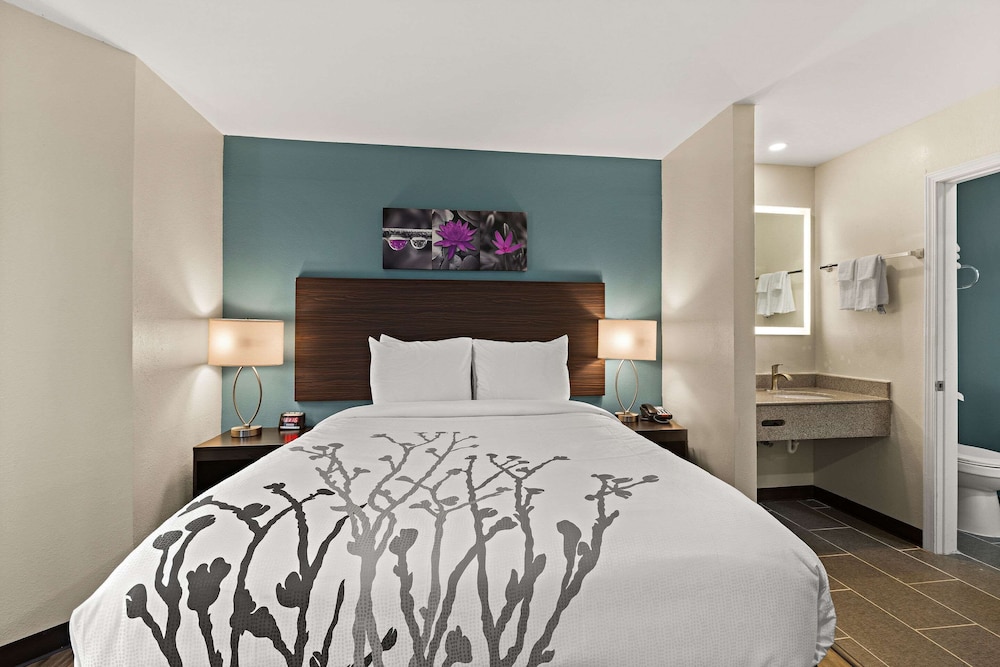 Room, 1 Queen Bed, Accessible, Non Smoking - Photo 3