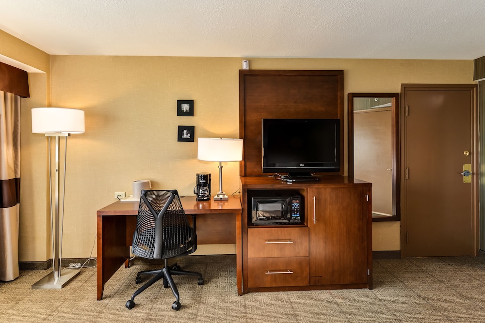 Standard Room, 1 King Bed, Accessible (Communications Accessible) - Photo 4