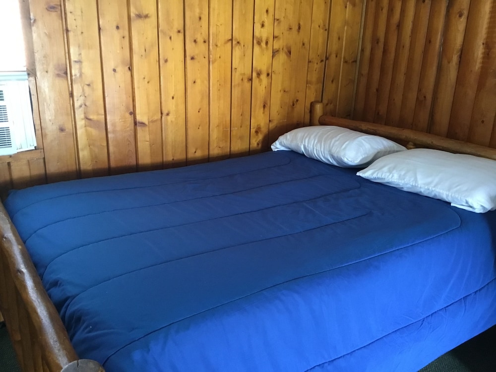 Standard Single Room, 2 Double Beds photo 1