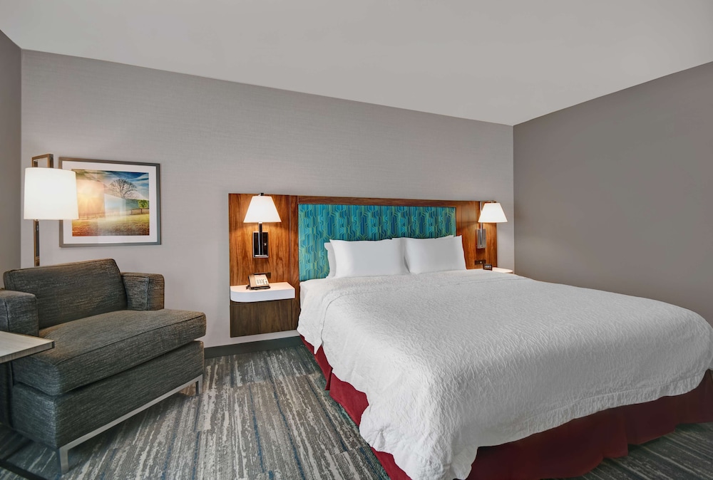 Room, 1 King Bed, Accessible, Non Smoking (Mobility&Hearing, 3x3Shower) - Photo 3