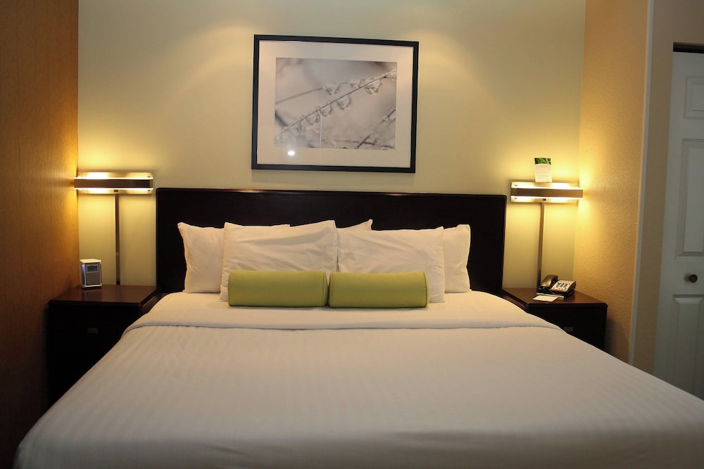 Suite, 1 King Bed with Sofa bed photo 1