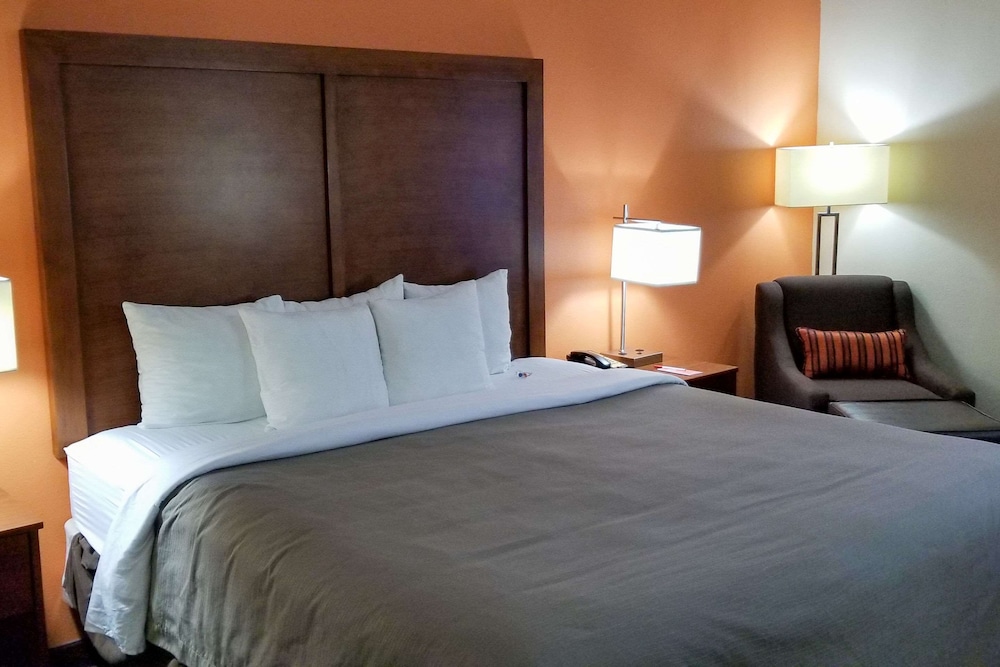Room, 1 King Bed, Non Smoking