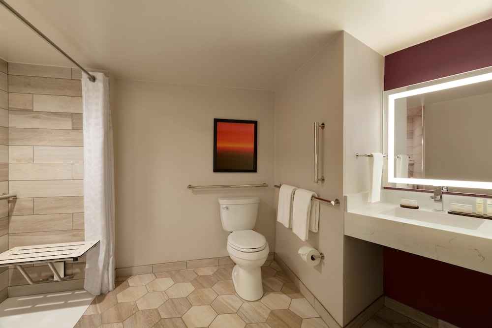 Suite, 1 King Bed, Accessible (Roll-in Shower) - Photo 4