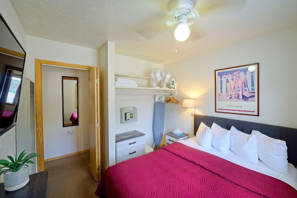 Standard Apartment, 1 Bedroom, Mountain View (503) photo 2