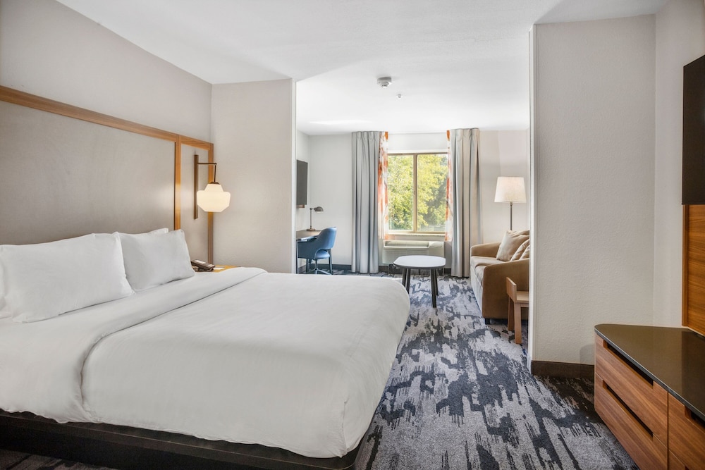 Suite, 1 King Bed with Sofa bed (Hearing Accessible) photo 3