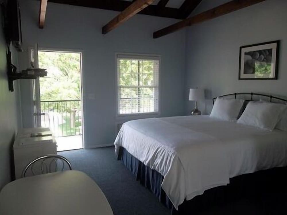 Room, 1 King Bed photo 3