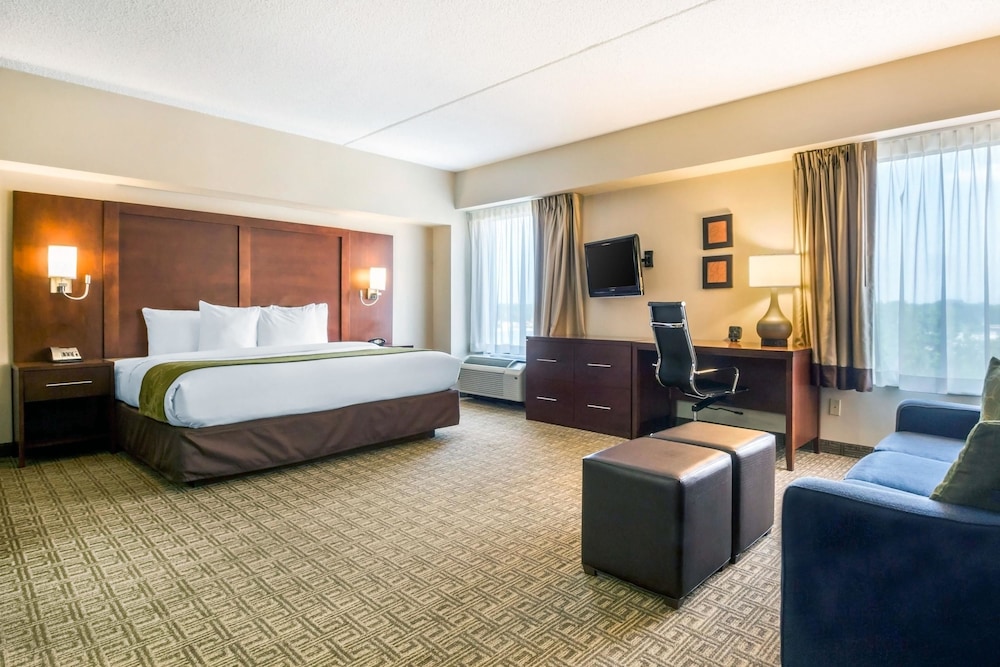 Room, 1 King Bed With Sofa Bed, Non Smoking, Corner