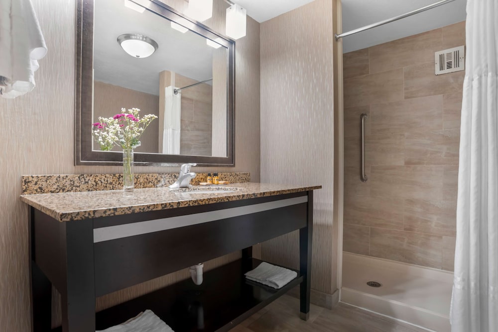 Deluxe Suite, 1 King Bed, Non Smoking, Refrigerator & Microwave (With Sofabed) - Photo 2