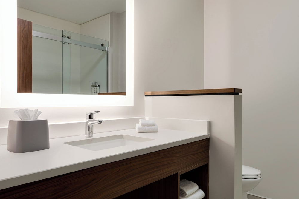 Suite, 1 King Bed, Hearing Accessible - Photo 3