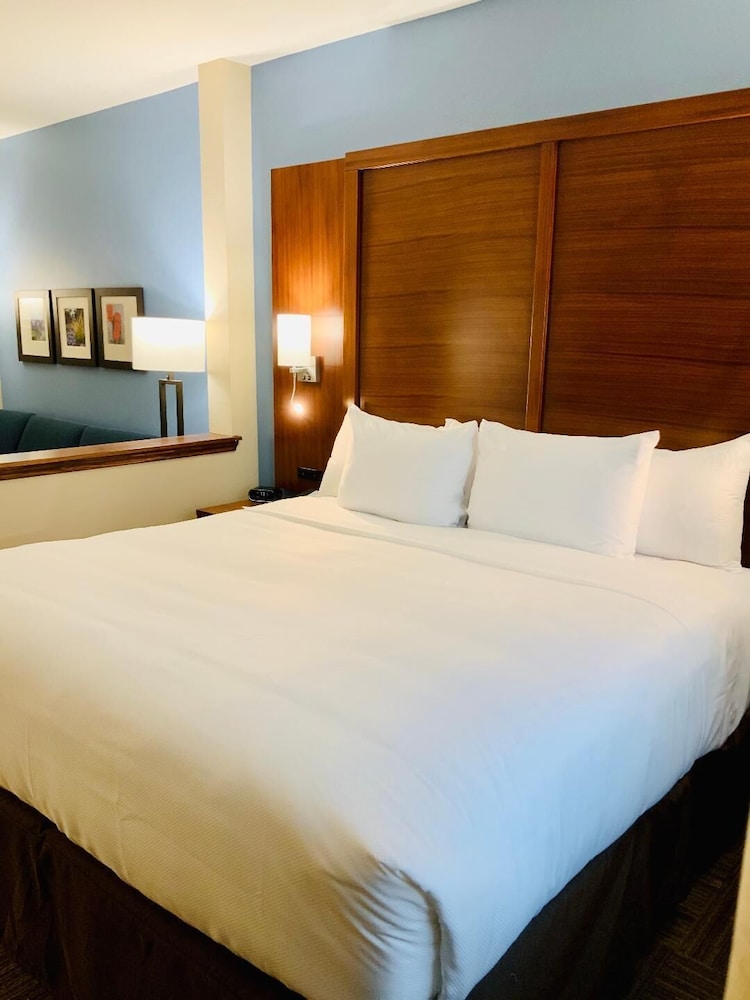 Suite, 1 King Bed with Sofa bed, Non Smoking (Wet Bar) - Photo 12