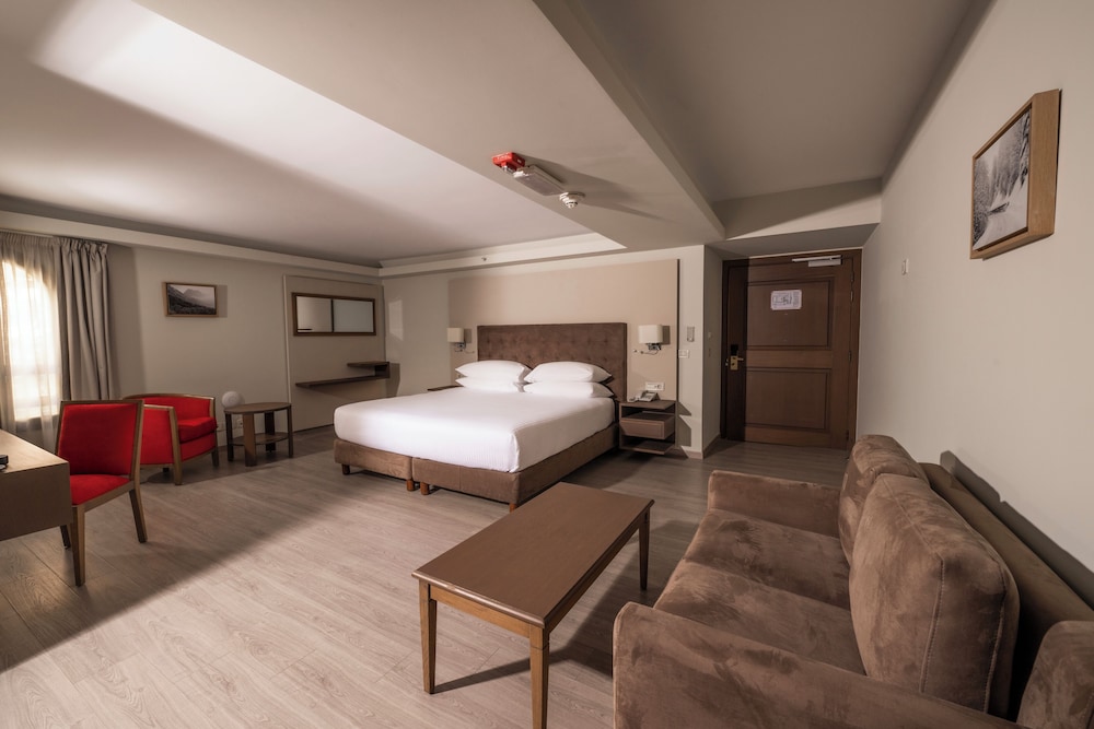 Classic Room, 1 King Bed, Accessible - Photo 2