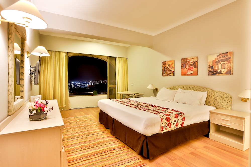 Deluxe Double or Twin Room - Photo 10