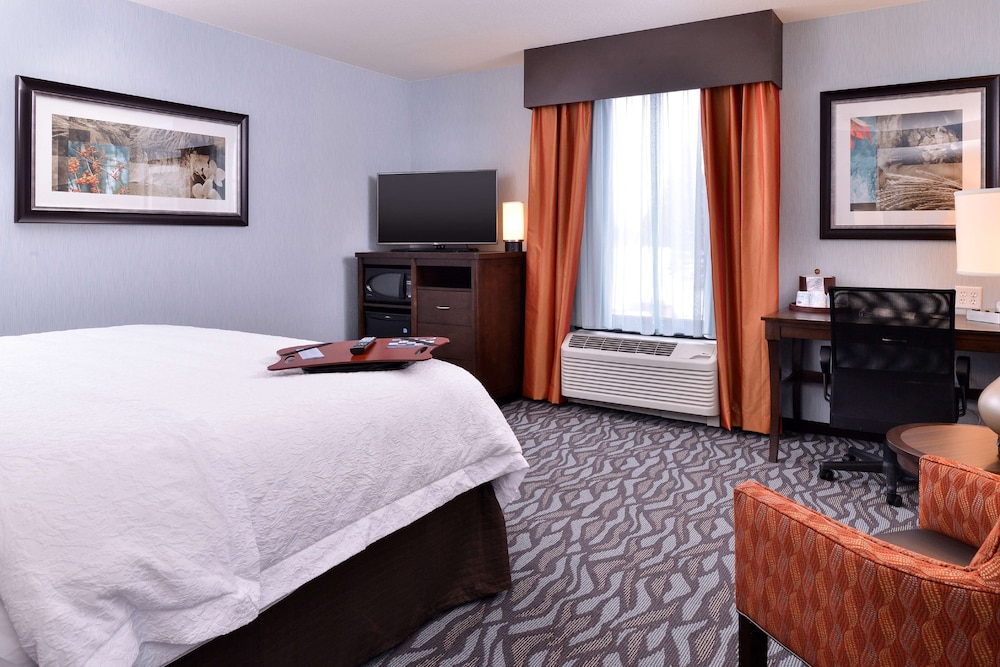Room, 1 King Bed, Refrigerator & Microwave - Photo 3