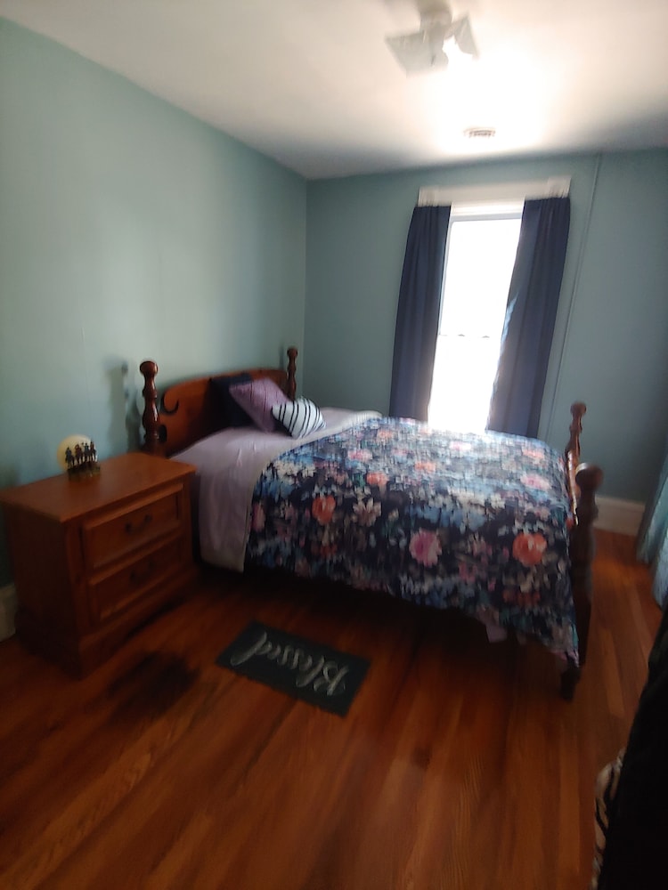 Basic Apartment (Pet Friendly) photo 3