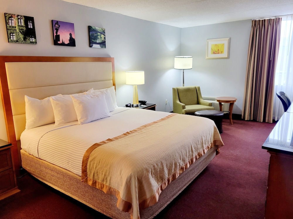 Dog Friendly Deluxe King Room photo 3