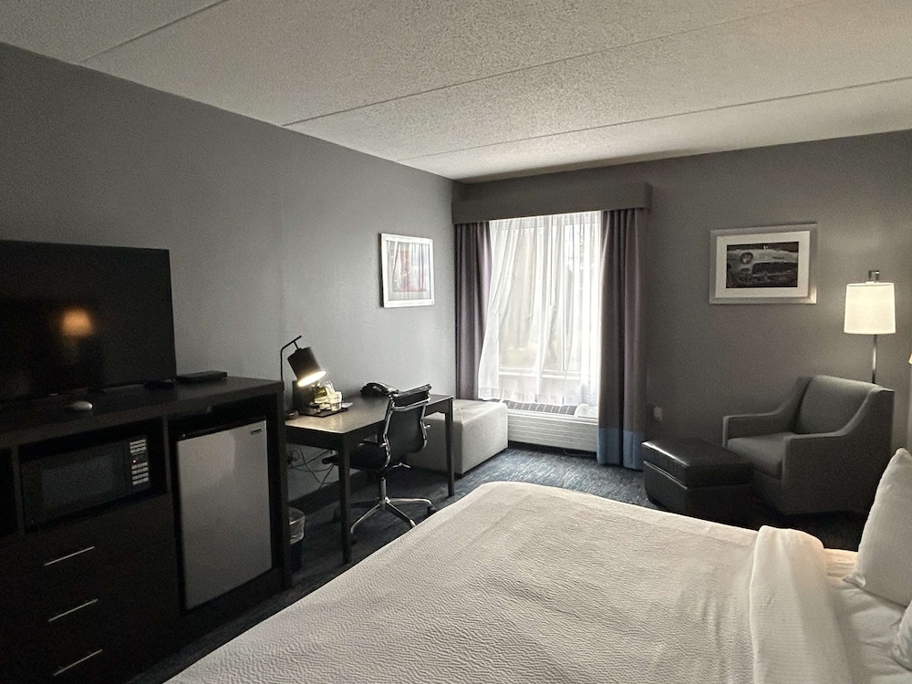 Executive Room, 1 King Bed, Non Smoking, Refrigerator & Microwave (Shower Only) - Photo 4