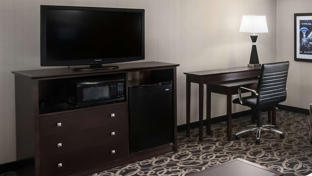 Suite, 1 King Bed, Non Smoking, Refrigerator & Microwave - Photo 4