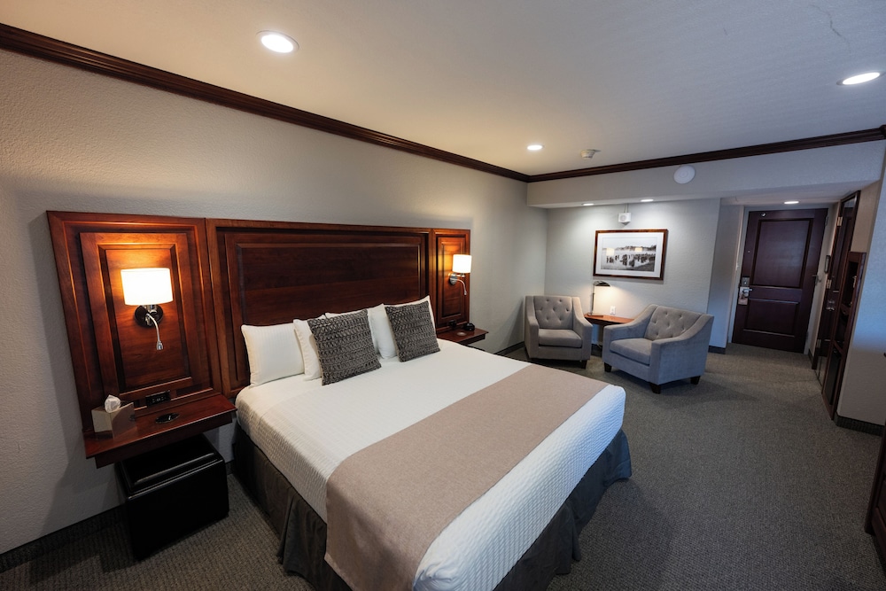 Executive Single Room, 1 King Bed photo 2