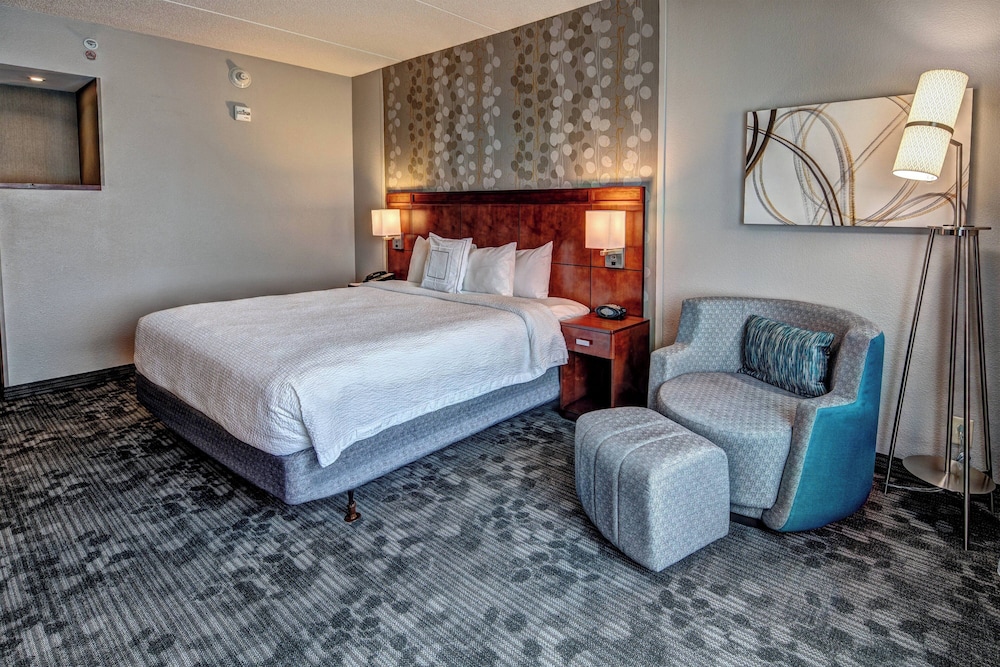 Room, 1 King Bed with Sofa bed (Mobility/Hearing Access, Roll-in Shwr) - Photo 3