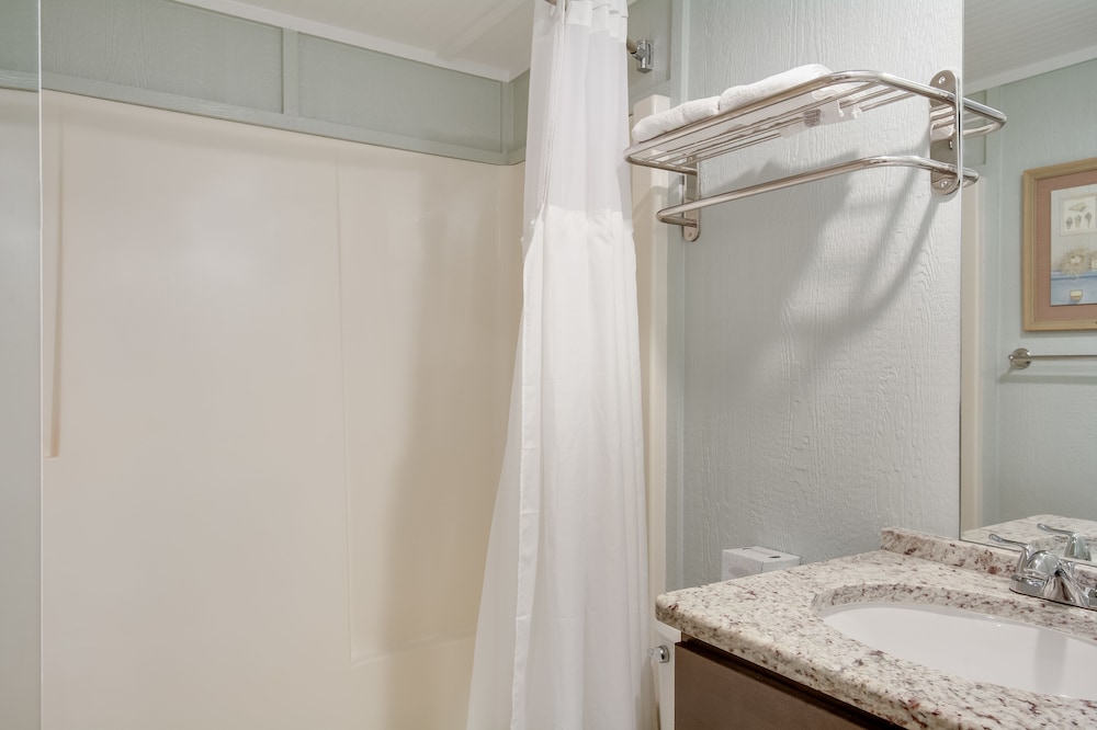 Single Room, 1 King Bed photo 1