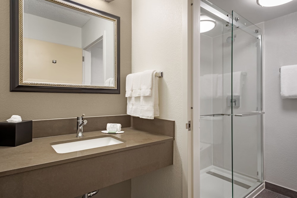 Suite, 1 Bedroom - Photo 6