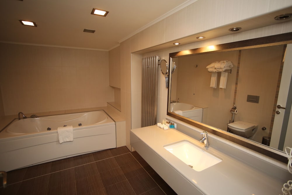 Deluxe Room - Photo 6