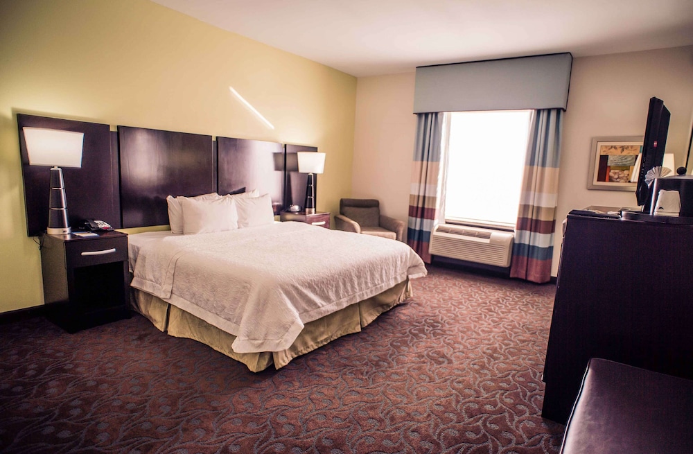 Room, 1 King Bed, Accessible - Photo 1