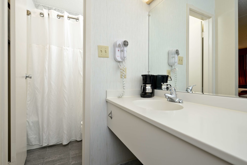 Standard Room, 1 King Bed, Non Smoking, Refrigerator & Microwave (Pet Friendly) - Photo 4
