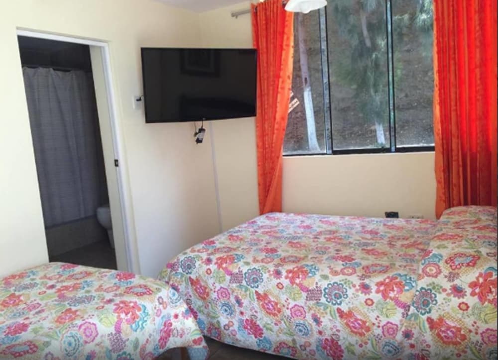 Triple Room photo 1