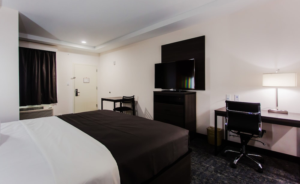Deluxe Single Room, 1 King Bed