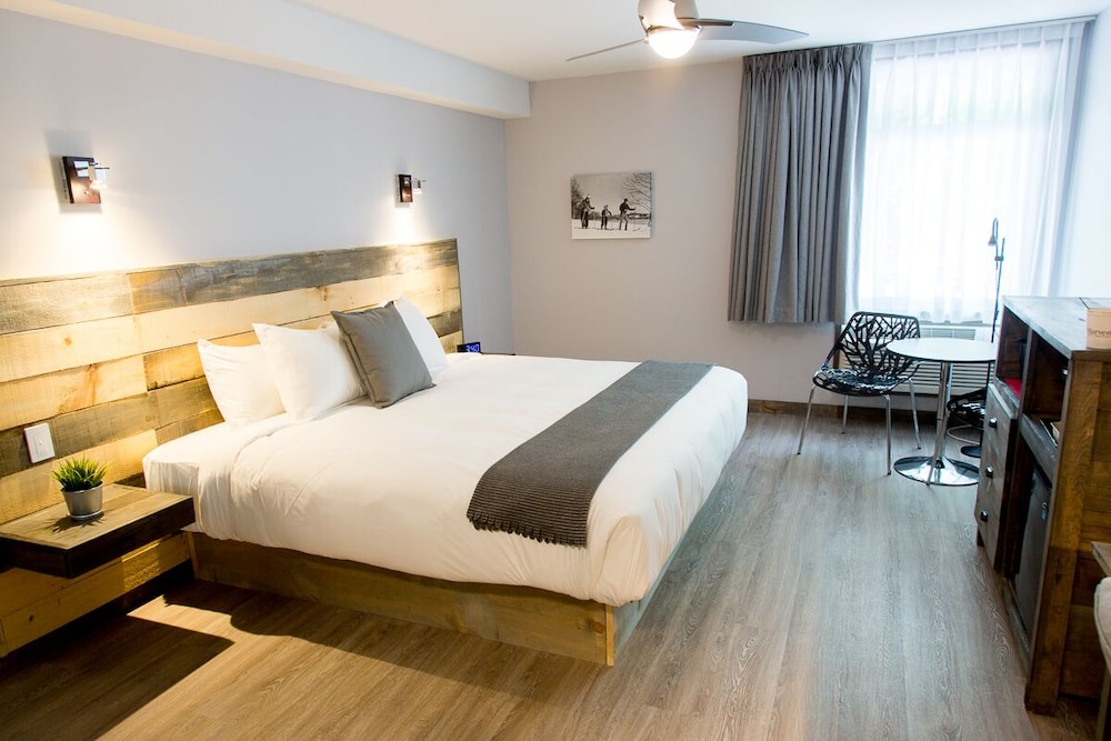 Room, 1 King Bed photo 1