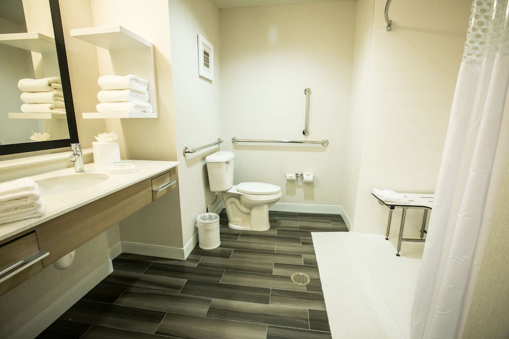 Studio, 1 King Bed, Accessible, Non Smoking (w/ roll-in shower) - Photo 7