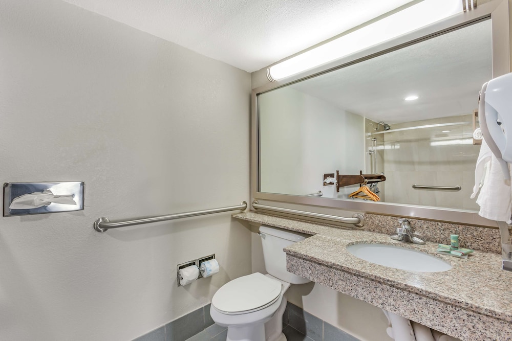 Standard Room, 1 King Bed, Accessible, Refrigerator & Microwave - Photo 6