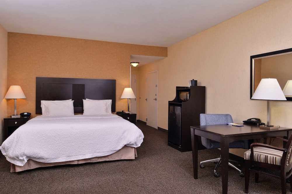 Room, 1 King Bed (Shower Only) - Photo 3