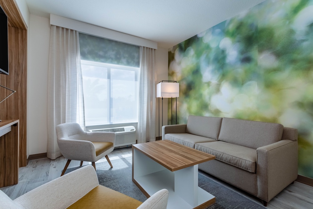 Deluxe Studio Suite, 1 King Bed, Accessible, Non Smoking (Mobility)
