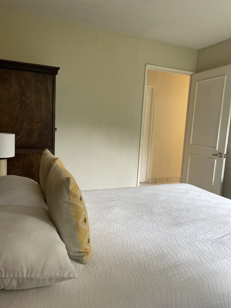 Economy Room photo 3